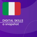 Visual for A snapshot of Digital Skills in Italy
